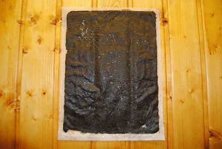 Frischmoorpackung aus Salzburg